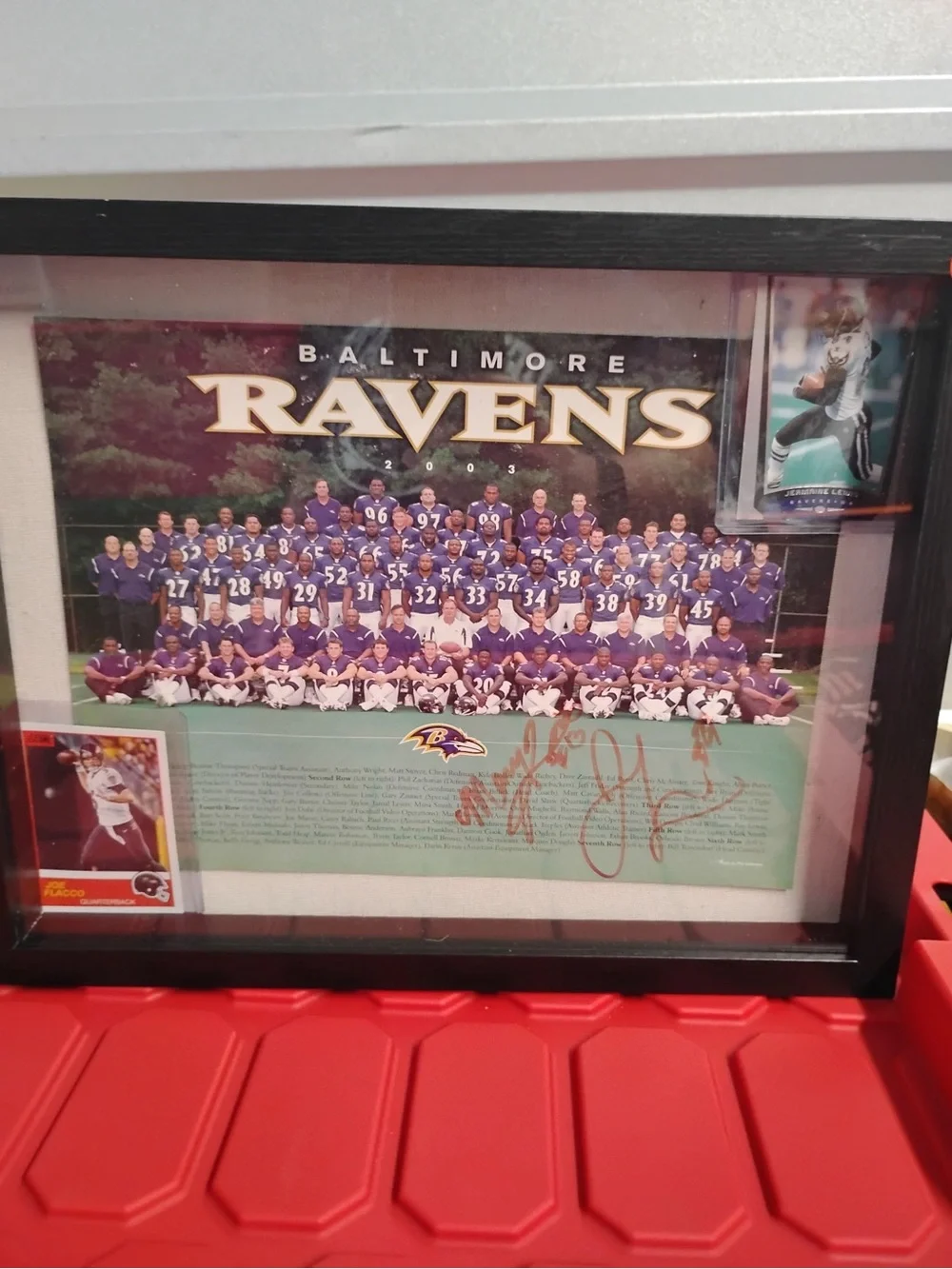 Framed Team Photo - Purple